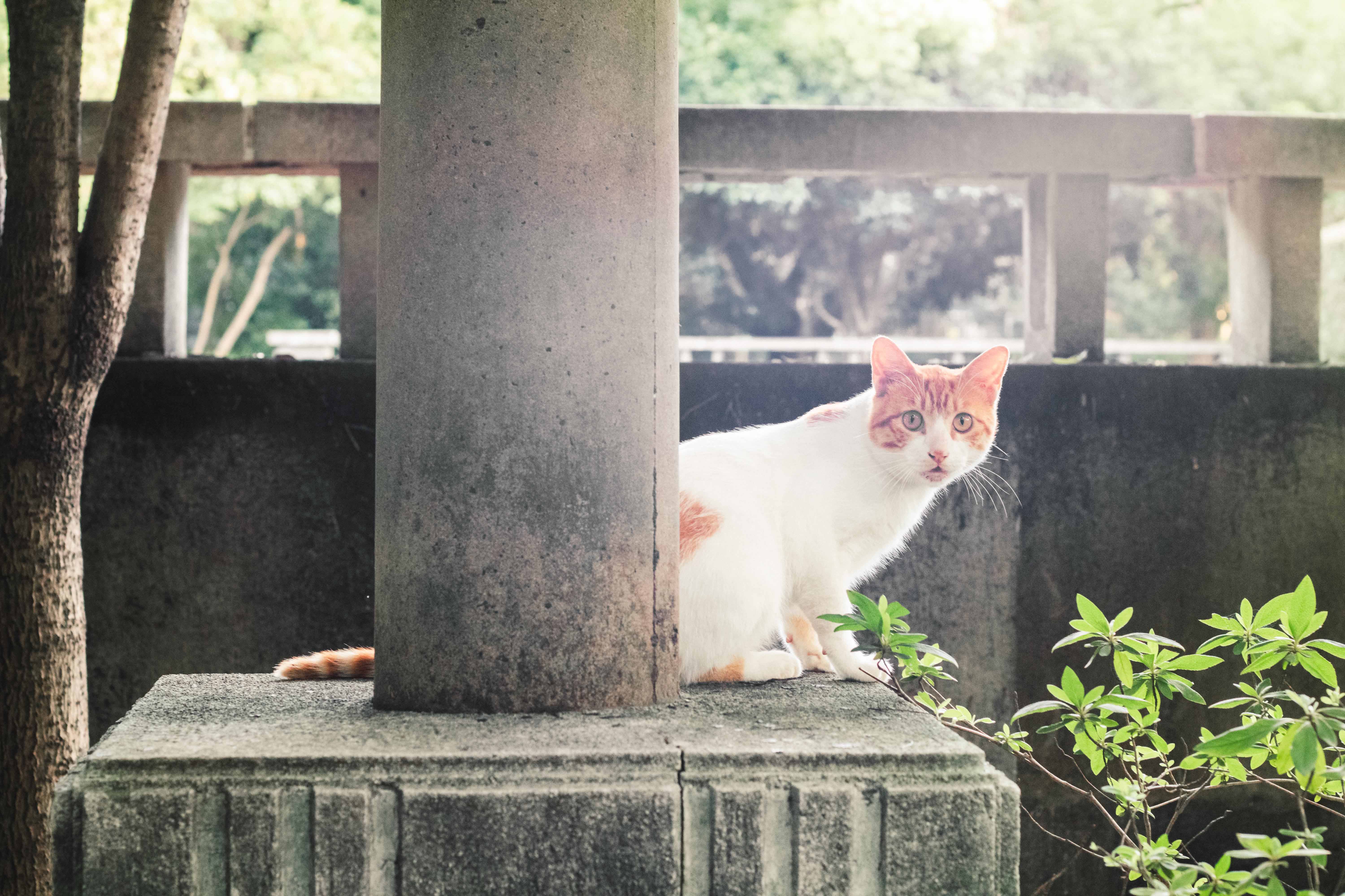 你瞅啥